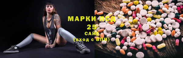прущий лед Заводоуковск