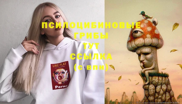 прущий лед Заводоуковск
