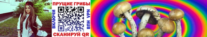 купить наркотик Цимлянск blacksprut ONION Псилоцибиновые грибы ЛСД
